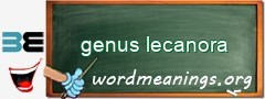 WordMeaning blackboard for genus lecanora